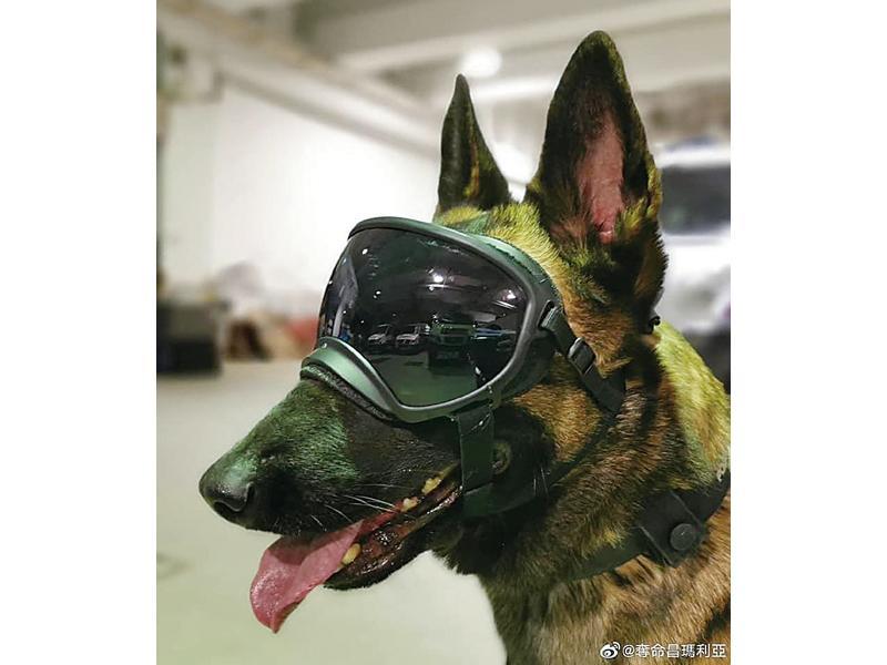 成報sing Pao Daily News