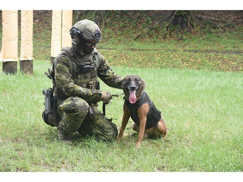 成報sing Pao Daily News